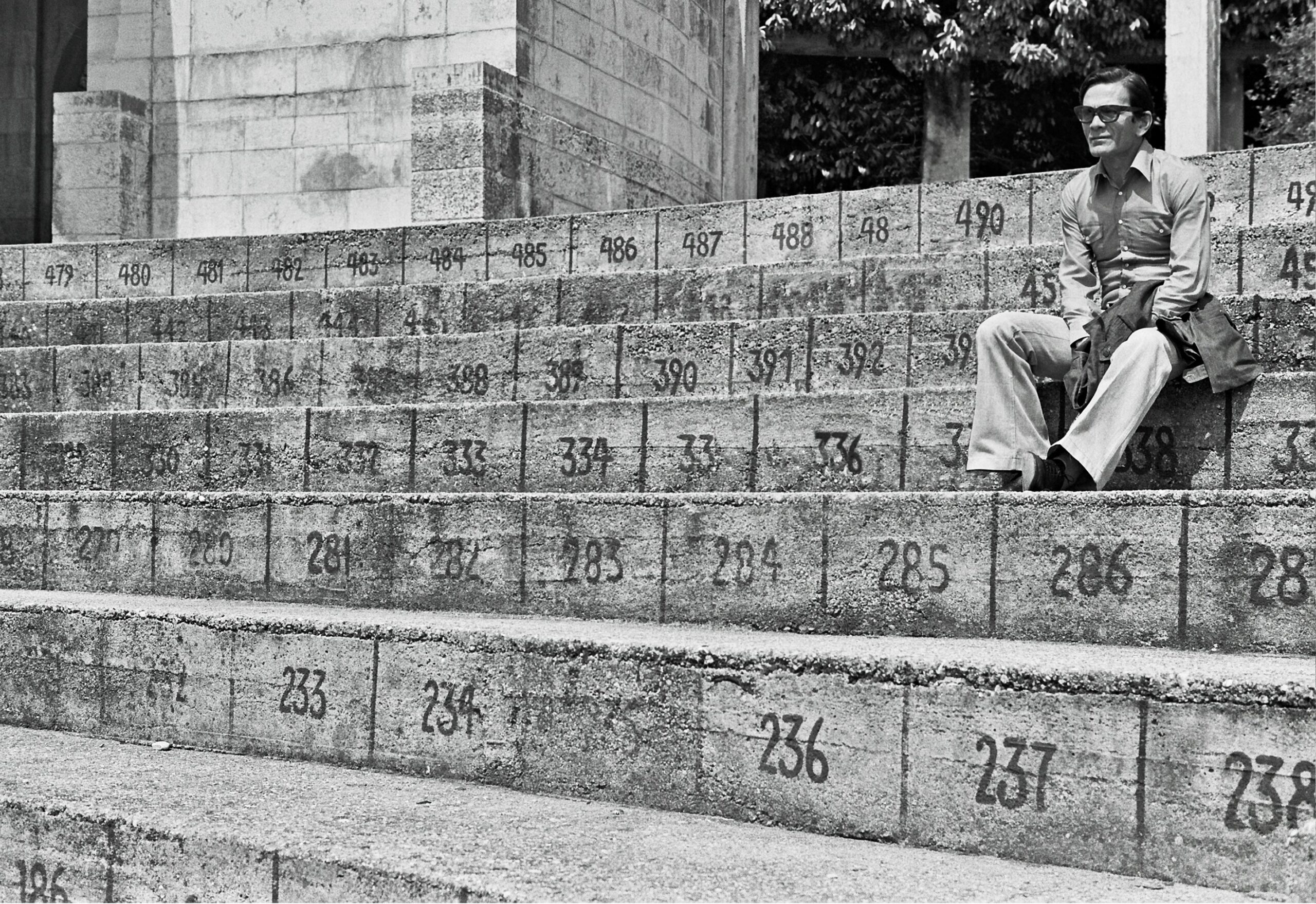 Qualcuno volò sul nido del cuculo