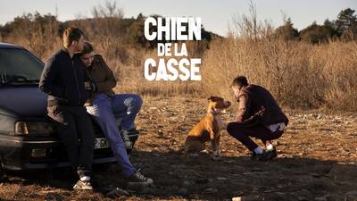 Chien de la casse/5nkSf7Yw6us6vXdilkXJUwPWZCf.jpg