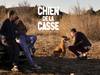 Chien de la casse/5nkSf7Yw6us6vXdilkXJUwPWZCf.jpg