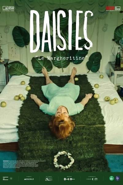 daisies - le margheritine_xwidzkbxddrbljcylvuy